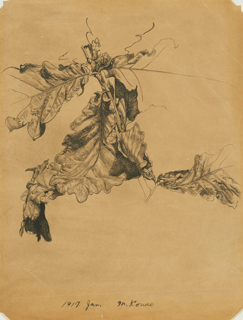 作品画像:柏の葉