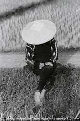 作品画像:横手