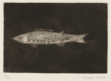 作品画像:小魚