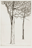 作品画像:二樹
