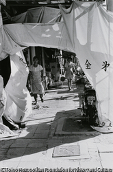 作品画像:根岸