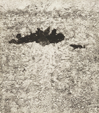 作品画像:転位 ’82-地-Ⅵ(夏)