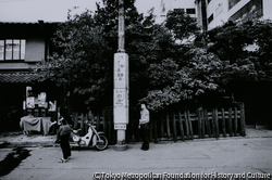 作品画像: