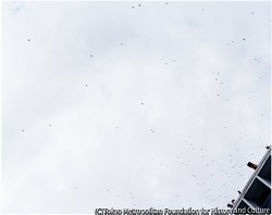 作品画像:黒い鳩・平和記念日・広島