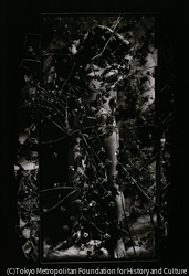 作品画像: