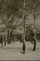 作品画像:冬の黒姫山麓