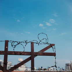 作品画像:89