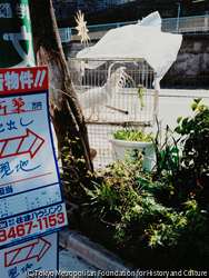 作品画像:神山町
