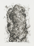 作品画像:触 ”体‐42″
