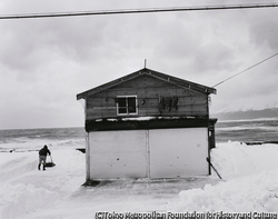 作品画像:礼文島 北海道 2003. 12