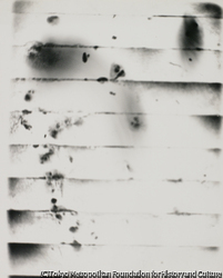作品画像: