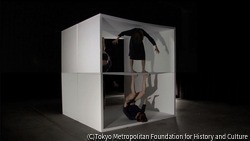 作品画像:破れのなかのできごと ~壁・部屋・箱~ (箱)