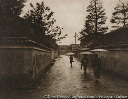作品画像:(雨の路地)