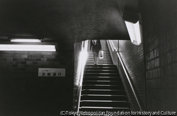 作品画像:中央区日本橋 地下鉄日本橋駅