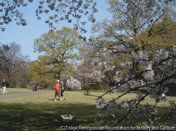 作品画像:世田谷区砧公園 ‘02.3.24