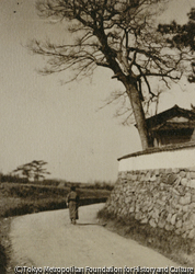 作品画像: