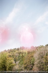 作品画像:いわき市、福島