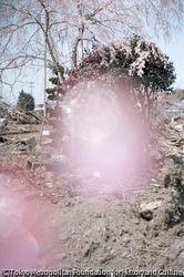 作品画像:南相馬市、福島