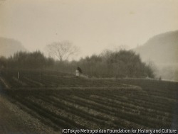 作品画像:(田園風景)