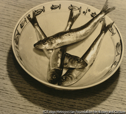 作品画像:(皿に入った魚)