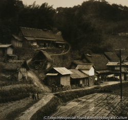 作品画像:信貴風景