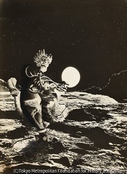 作品画像:夜中出歩くものたち