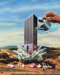 作品画像:成長の奇跡