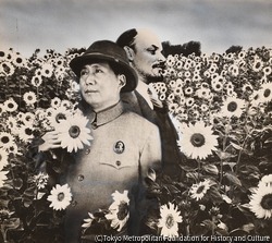 作品画像:禁じられた吐息