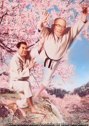 作品画像:日本の名勝負