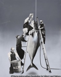 作品画像:添加物のプログラム