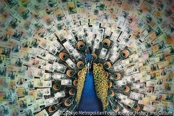 作品画像:円鳥