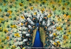 作品画像:円鳥