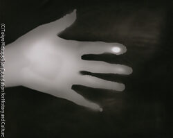 作品画像: