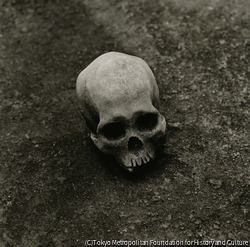 作品画像:洞窟でみつかった日本兵の遺骨