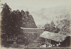 作品画像:箱根神社への参道