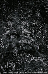 作品画像:怪人の面