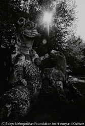 作品画像:闘うドラゴンと獅子