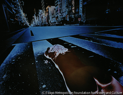 作品画像: