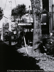 作品画像:港区・麻布台