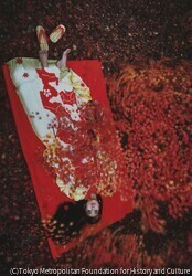作品画像: