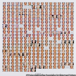 作品画像:1997