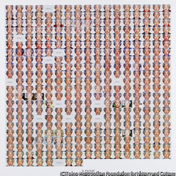作品画像:1995