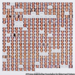 作品画像:1994