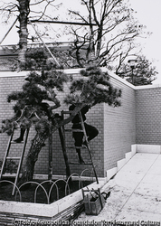作品画像:高級住宅地 東京 麹町