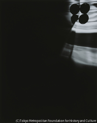 作品画像:#19