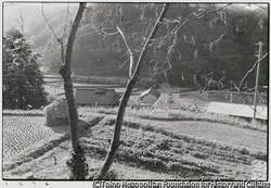 作品画像:田舎道