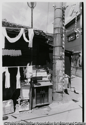 作品画像: