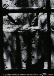 作品画像: