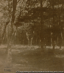 作品画像:静な森(大正9年6月)、大日本東京美術学校写真科第2年