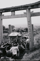 作品画像: